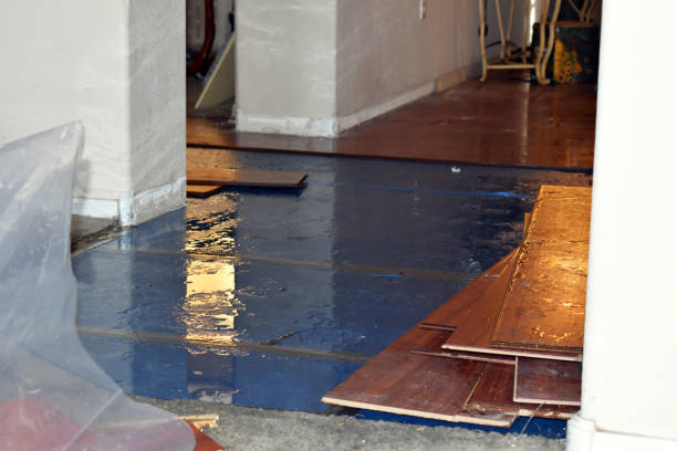 Professional Basement Flood Cleanup technician working in Linden, AZ
