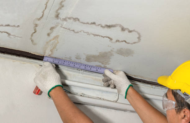 Reliable Basement Flood Cleanup contractor in Linden, AZ by Aqua Guard Water Damage